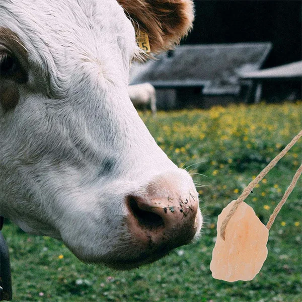 Animal Salt