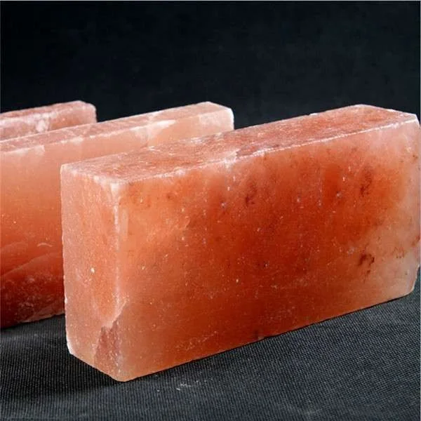 Salt Bricks