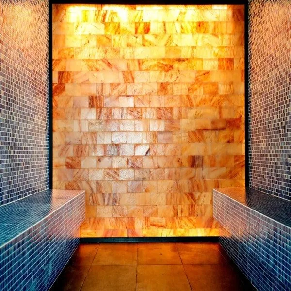Salt Bricks