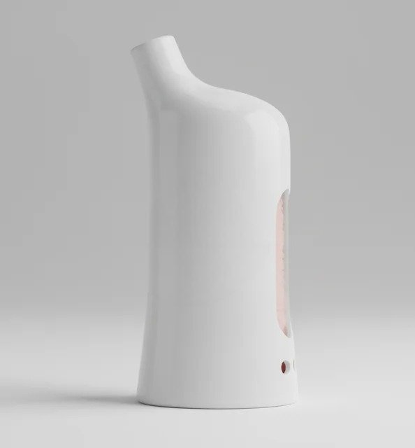 Salt Inhaler